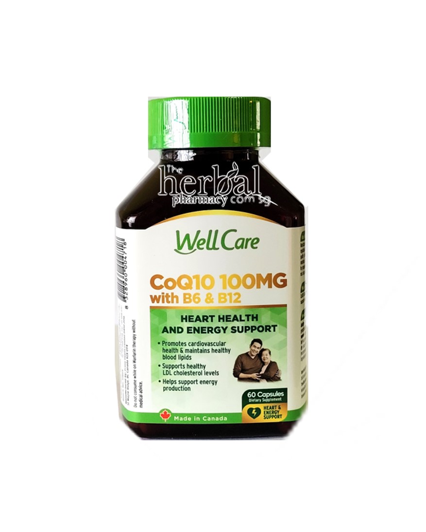 WellCare COQ10 100MG with B6 & B12 60 Capsules